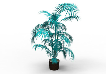 Obraz premium palm