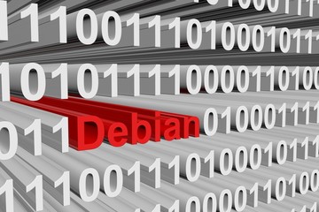 binary code of the operating system Debian