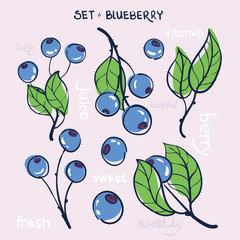 blueberry