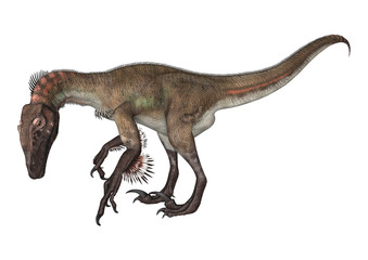 Dinosaur Utahraptor