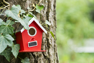 Vogelhäuschen im Garten