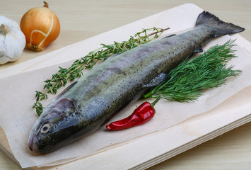 Raw trout