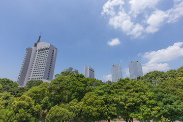 幕張の新緑の公園から高層ビジネスビル街を臨む