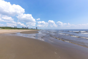 幕張海浜公園の浜