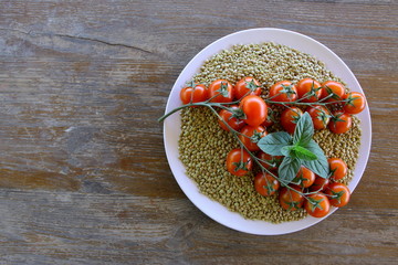 Cieciorka i pomidory © fotodrobik