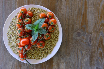 Cieciorka i pomidory © fotodrobik