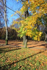 Autumn park in Bytom, Poland