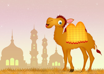 camel in the mosque