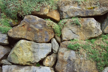 Rocks with green moss background
