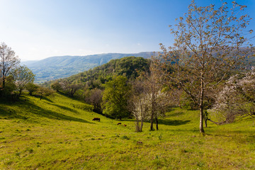 Fototapeta na wymiar Hills panorama
