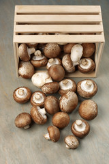 Brown cap mushrooms in box
