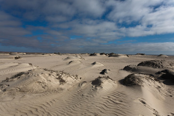 Skeleton coast panorama