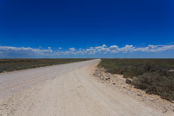 Fototapeta na wymiar Etosha panorama