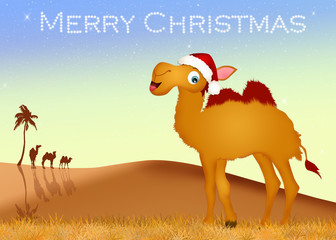 camel at Christmas