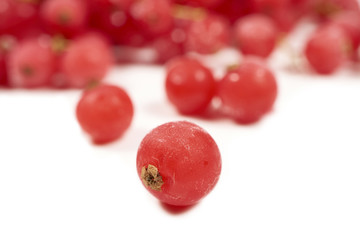 Gefrorene mit Eiskristallen überzogene Johannisbeeren