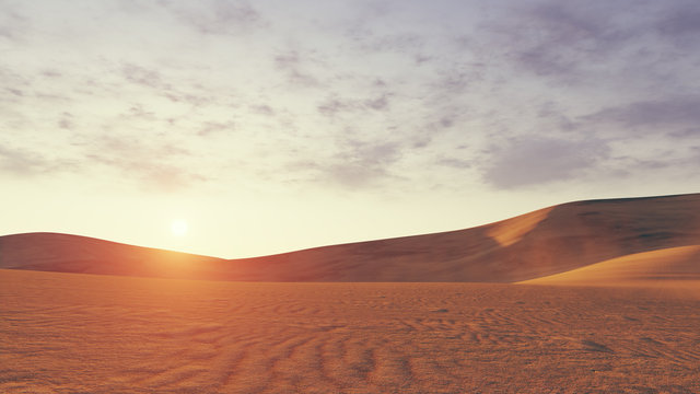 Desert sunset low angle view © marsea