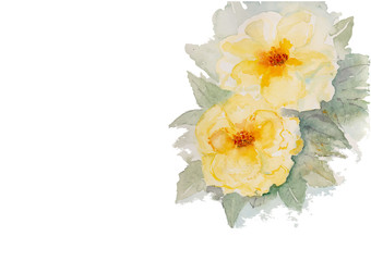 yellow roses watercolor illustration