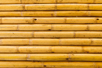 Obraz premium Bamboo texture