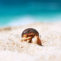 Beautiful island beach with motor boat