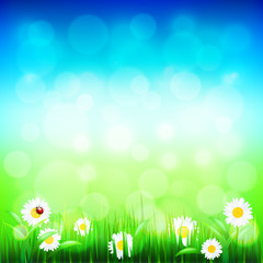 Fototapeta na wymiar Green grass and blue sky with flowers vector