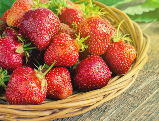 strawberries in natural background