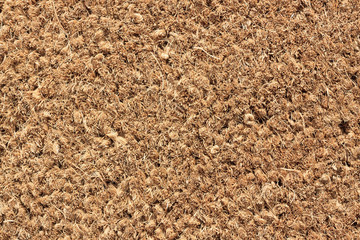 Door Mat Close-up Texture