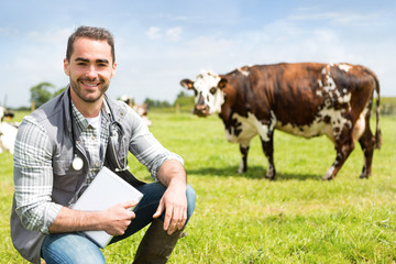 Portrait of a Young attractive veterinary in a pasture with cows