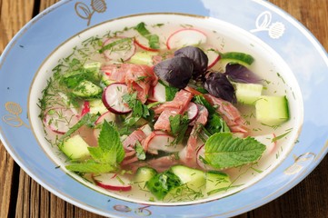 Okroshka, traditional cold Russian soup with kvas, cucumbers, ra