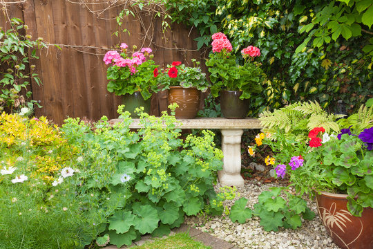 Colorful potted plants in garden corner with a stone bench.