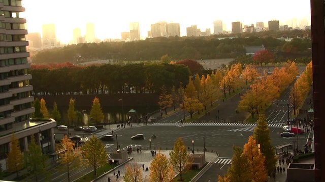Time lapse footage of busy intersection with ginkgo tree in autumn in Tokyo, Japan