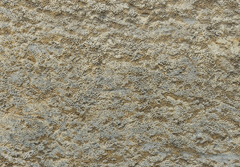 Rough plaster on a wall as background