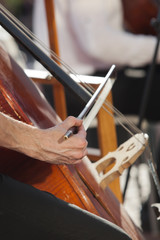 Hand musician playing contrabass