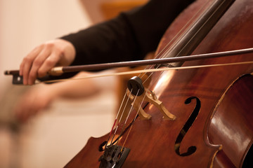 The bow on the strings cello closeup - 85884355