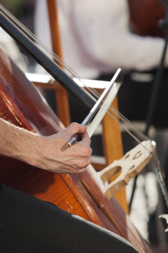 Hand Musician Playing Contrabass