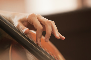  The woman's fingers on the strings of a cello © furtseff
