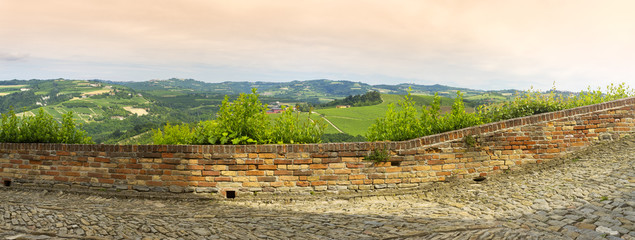 Langhe springtime panorama. Color image