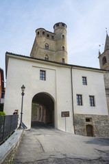 Serralunga castle entrance. Color image