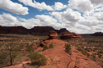 Das rote Zentrum, Outback, Australien