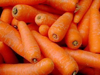 Gewaschene Karotten liegen als Haufen zum Verkauf aus