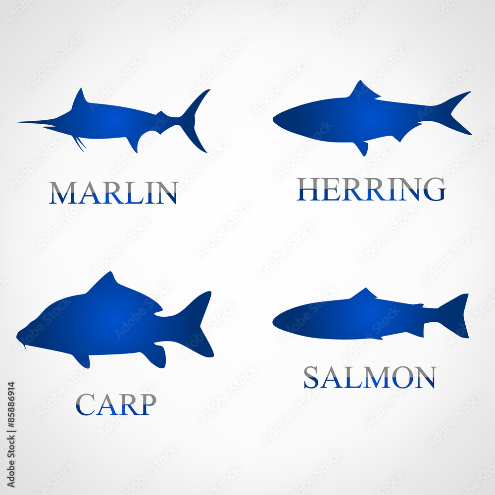 Poster Fish symbol. Vector illustration.