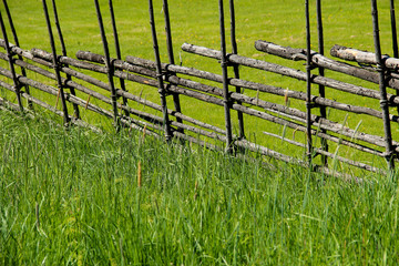 Old Swedish wooden fence and green grass
