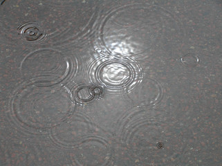 Raindrops falling in a water puddle making circles