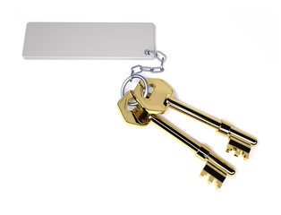 two golden key with blank tag