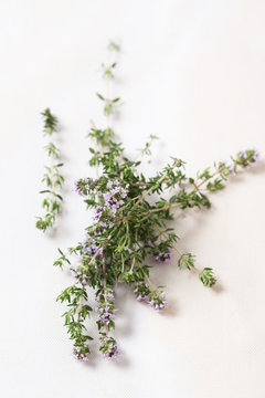 thyme