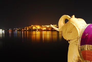 Foto op Plexiglas Udaipur, rajastan by night/ Udaipur by night, stone elephant, view of palace and lake © hannoonnes