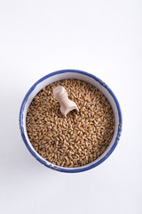 Spelt kernel