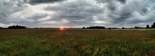 Pole uprawne © michalsen