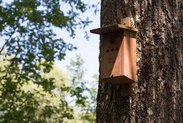 Vogelhäuschen im Wald