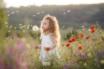A little girl with a dandelion on a summer meadow