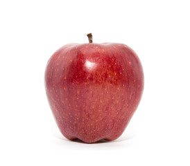 Red ripe apple